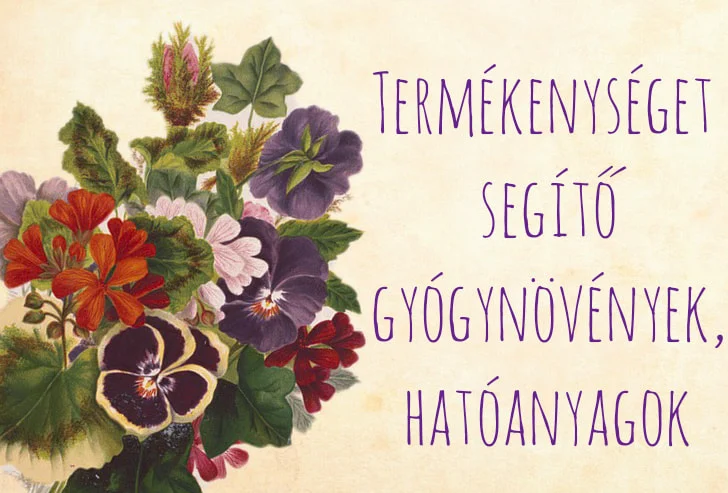 TERMÉKENYSÉGet segítő gyógynövények, hatóanyagok