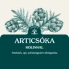 Articsóka Kolinnal bemutató grafika