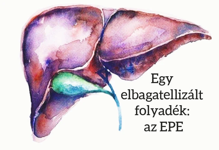 Az elbagatellizált epe