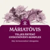 Máriatövis bemutató grafika