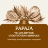 Papaja bemutató grafika