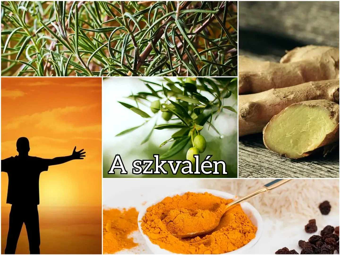 A szkvalénban rejlő izgalmak
